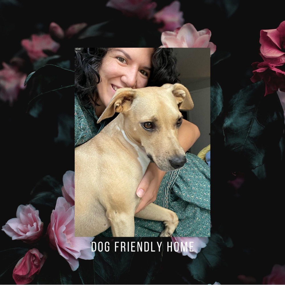 Dog friendly home!